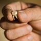 Image for article titled 400,000 year old teeth could rewrite the evolutionary history of our species